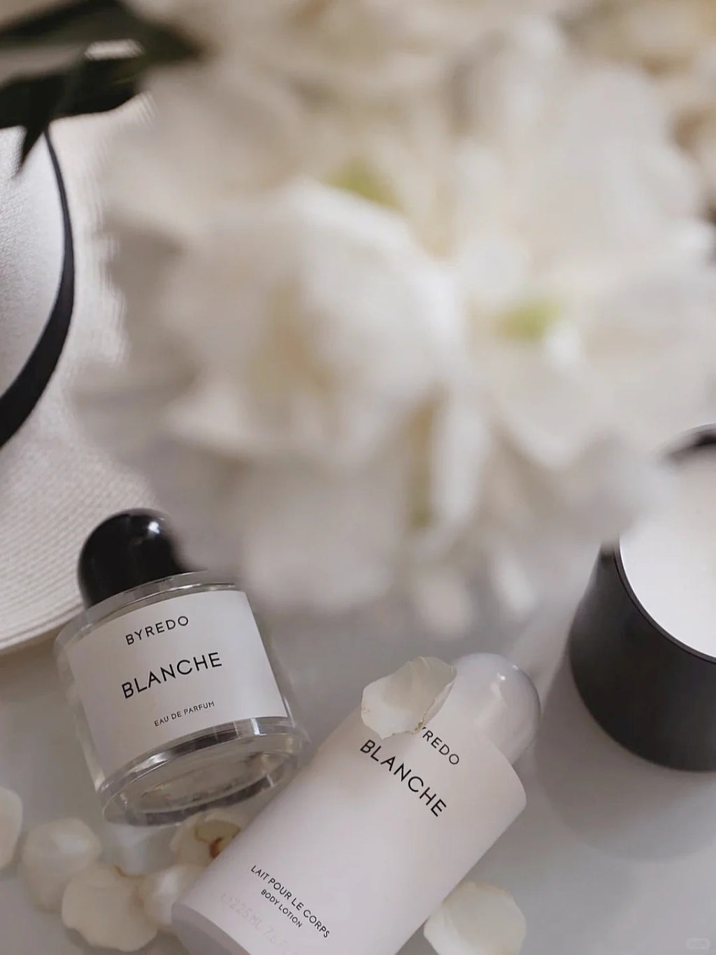 【ของแท้✓จัดส่งรวดเร็ว】Mojave Ghost EDP & Blanche & La Tulipe EDP 2ml/5ml/10ml น้ําหอม unisex น้ำหอมพกพา  น้ำหอมขายดี  กลิ่นติดทนนาน ตัวอย่างน้ำหอมแบรนด์