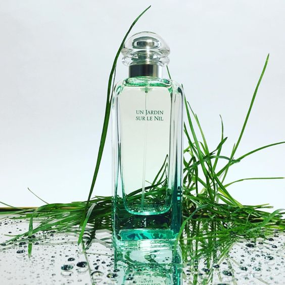 【ของแท้✓จัดส่งรวดเร็ว】Un Jardin Sur Le Nil & H24 EDT/Terre d'Hermes EDT 2ml/5ml/10ml น้ําหอมชาย น้ำหอมขายดี  น้ําหอม unisex กลิ่นติดทนนาน น้ำหอมพกพา