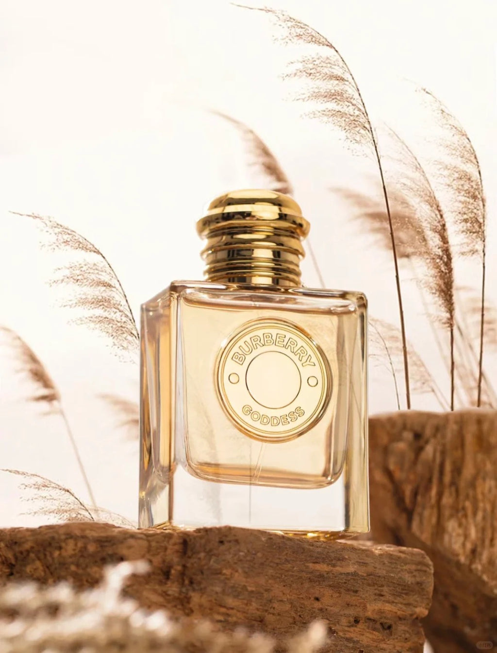 【ของแท้✓จัดส่งรวดเร็ว】My Black Parfum & Her EDP & My Blush EDP 2ml/5ml/10ml น้ำหอมพกพา น้ําหอมผู้หญิง