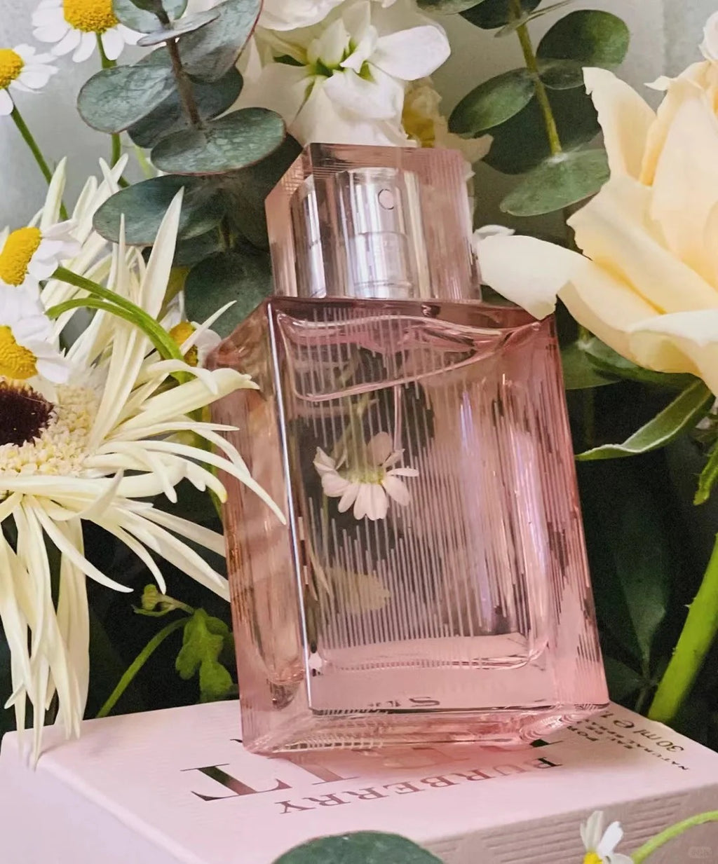 【ของแท้✓จัดส่งรวดเร็ว】My Black Parfum & Her EDP & My Blush EDP 2ml/5ml/10ml น้ำหอมพกพา น้ําหอมผู้หญิง