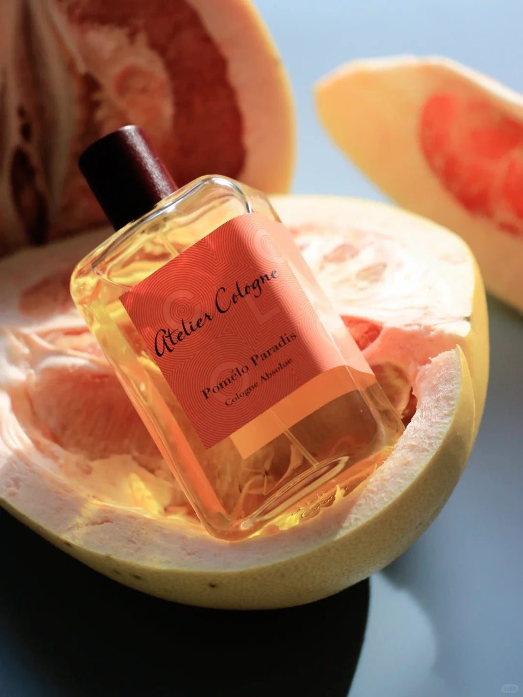 【ของแท้✓จัดส่งรวดเร็ว】Pomelo Paradis EDT 2ml / 5ml / 10ml น้ำหอมพกพา ขนาดทดลอง น้ําหอม unisex น้ําหอมมินิ